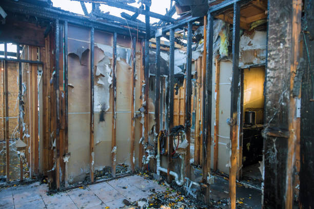 Professional Smoke Odor Removal technician working in Stevenson, MD