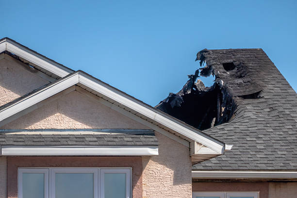 Top rated local Smoke Odor Removal specialists in Stevenson, MD